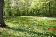 Fahrt nach Kalmar Pfingsten 2005