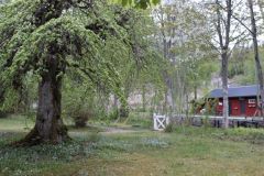 IMG_6322-Large