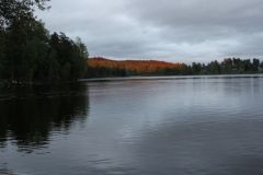 IMG_6310-Large