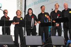 Schwedenfest_2007_07